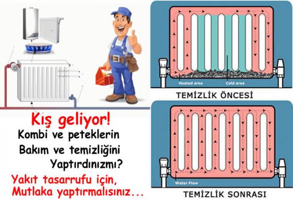Petek Temizliğinin Önemi ve Faydaları